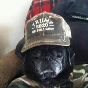 Meet your Posher, Suzanne